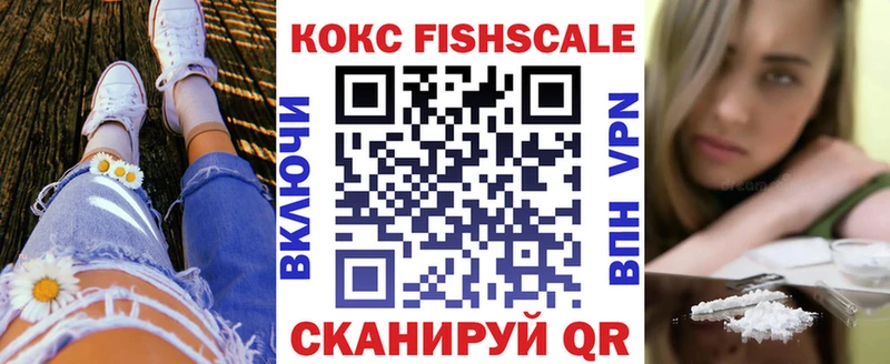 Кокаин Fish Scale  Купить закладки  Плавск 