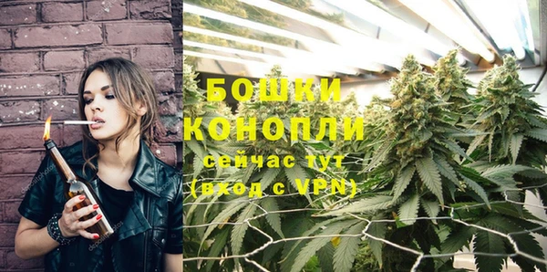прущие грибы Киренск