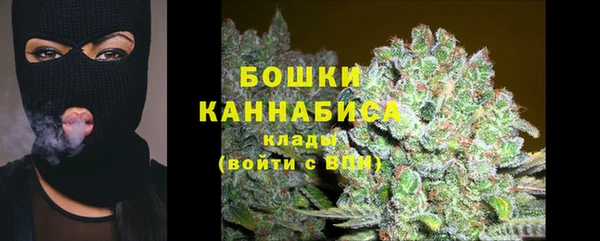 прущие грибы Киренск